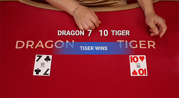 Exciting Dragon vs Tiger Game Master App APK Download Online